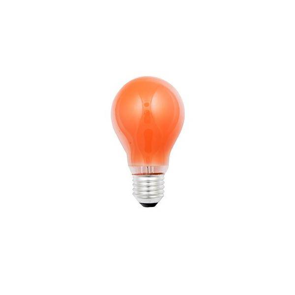 Scharnberger+Hasenbein Glühlampe B60x105mm 40249-0