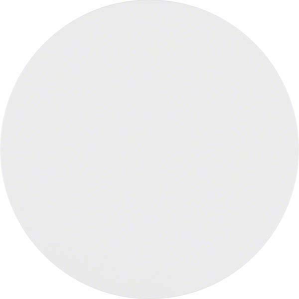 Berker Taste 1fach polarweiß gl 85141139-1