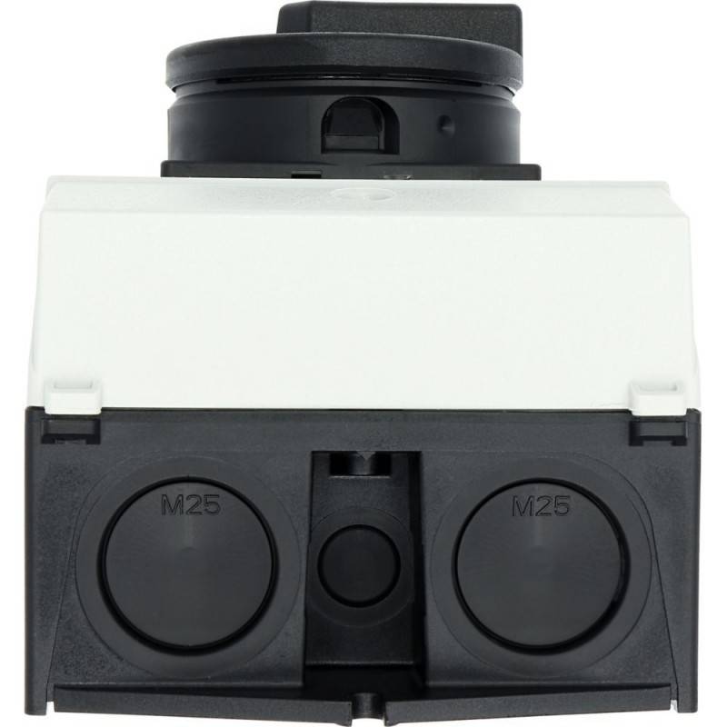 Eaton Hauptschalter P1-25/I2/SVB-SW/N-1