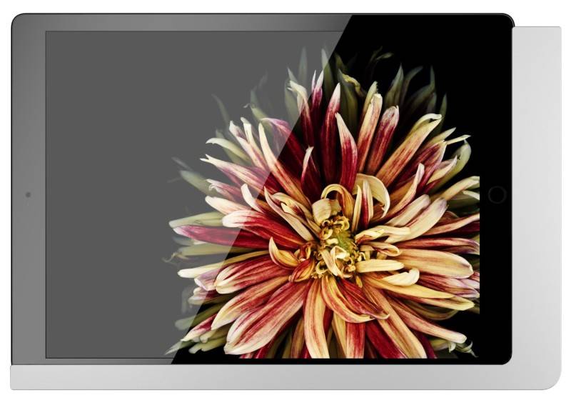 Viveroo iPad Wandhalterung 510180LAN-3