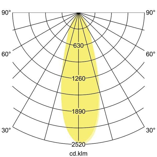 Brumberg Leuchten LED-Erdspießstrahler 60105643-4