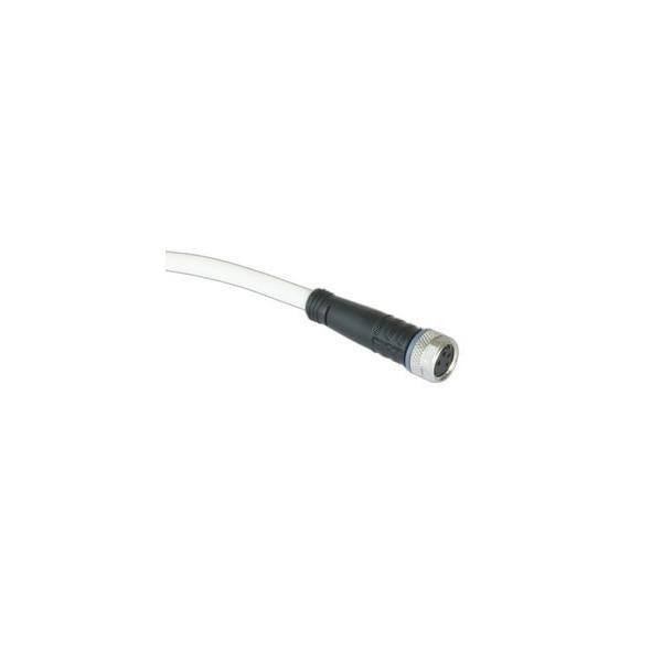 Barthelme Anschlusskabel M8-Kupplung 5-polig 300cm 66313530-0