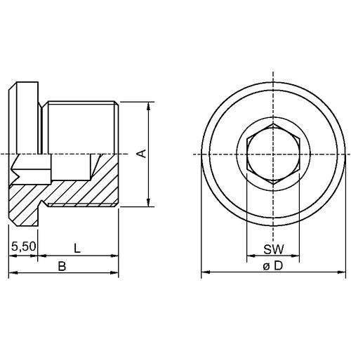 Stahl Verschlussstopfen CMP-767-D-M2-5-1
