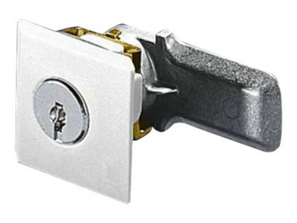 Rittal SZ 2430.000 Vorreiberverschluss