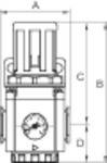 RIEGLER Filter für hohe Drücke bis 40 bar, mit Handablassventil, 40 µm, G 1, Kondensatbehälter aus Messing, Mediumstemp.-1