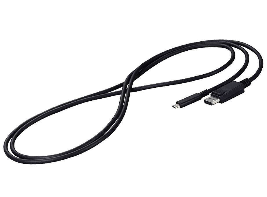Eizo CP200 - Adapterkabel - 24 pin USB-C (M)-1