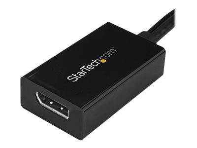 StarTech.com DVI auf DisplayPort Adapter mit USB Power - DVI-D zu DP Video Adapter - DVI zu DisplayPort Konverter --2
