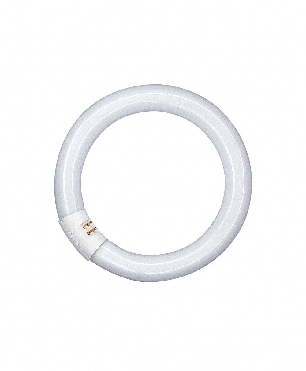 Symbolbild für Ledvance Leuchtstofflampe G10q ringförmig L 32W/840 C 32 W, 2100 lm, 4000 K, 65 lm/W, 29 mm