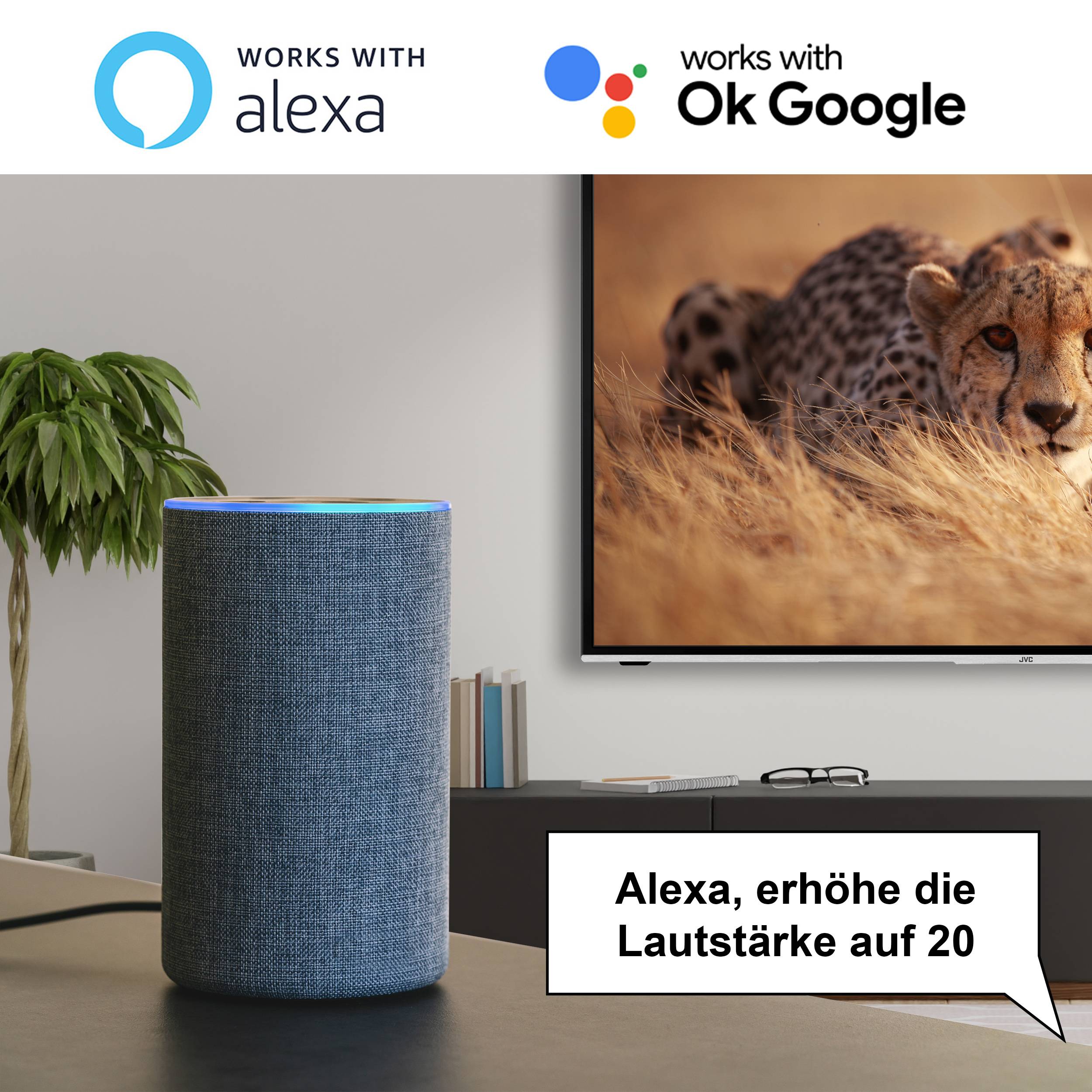 LT-42VF5155 42 Zoll Fernseher (Smart TV inkl. Prime Video/Netflix, Full HD, HDR10, Bluetooth, HD+)-4