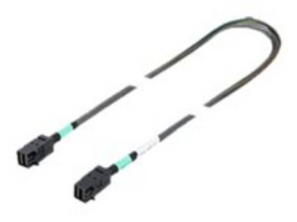 Fujitsu - Internes SAS-Kabel - SAS 12Gbit/s - gerade durchgeführt - 4-Lane - 4x Mini SAS HD (SFF-8643)