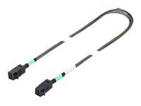 Fujitsu - Internes SAS-Kabel - SAS 12Gbit/s - gerade durchgeführt - 4-Lane - 4x Mini SAS HD (SFF-8643)-0