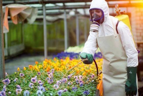 Dräger Vollmaske X-plore 6300 mit Standard-Rundgewinde RA-1