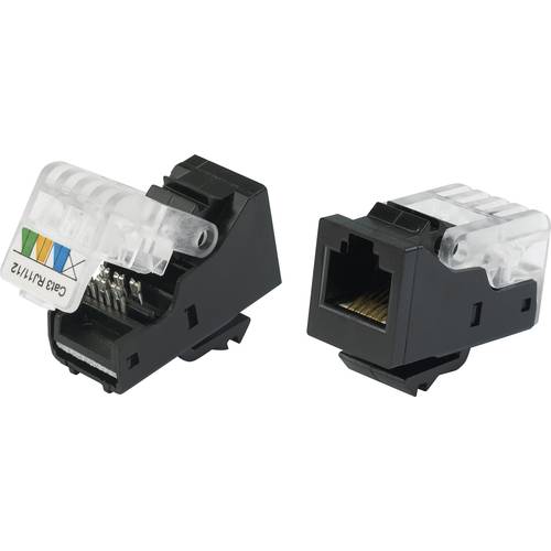 TRU COMPONENTS 93014c936 Modularbuchse, werkzeuglos Buchse, gerade Schwarz 1 St.