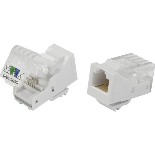 TRU COMPONENTS 93014c937 Modularbuchse, werkzeuglos Buchse, gerade Natur 1 St.