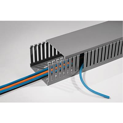 HellermannTyton HTWD-PD Verdrahtungskanal Grau, 25 mm x 50mm, Länge 2m Kunststoff, Seitenwand Offen // Packung a 9 Stück