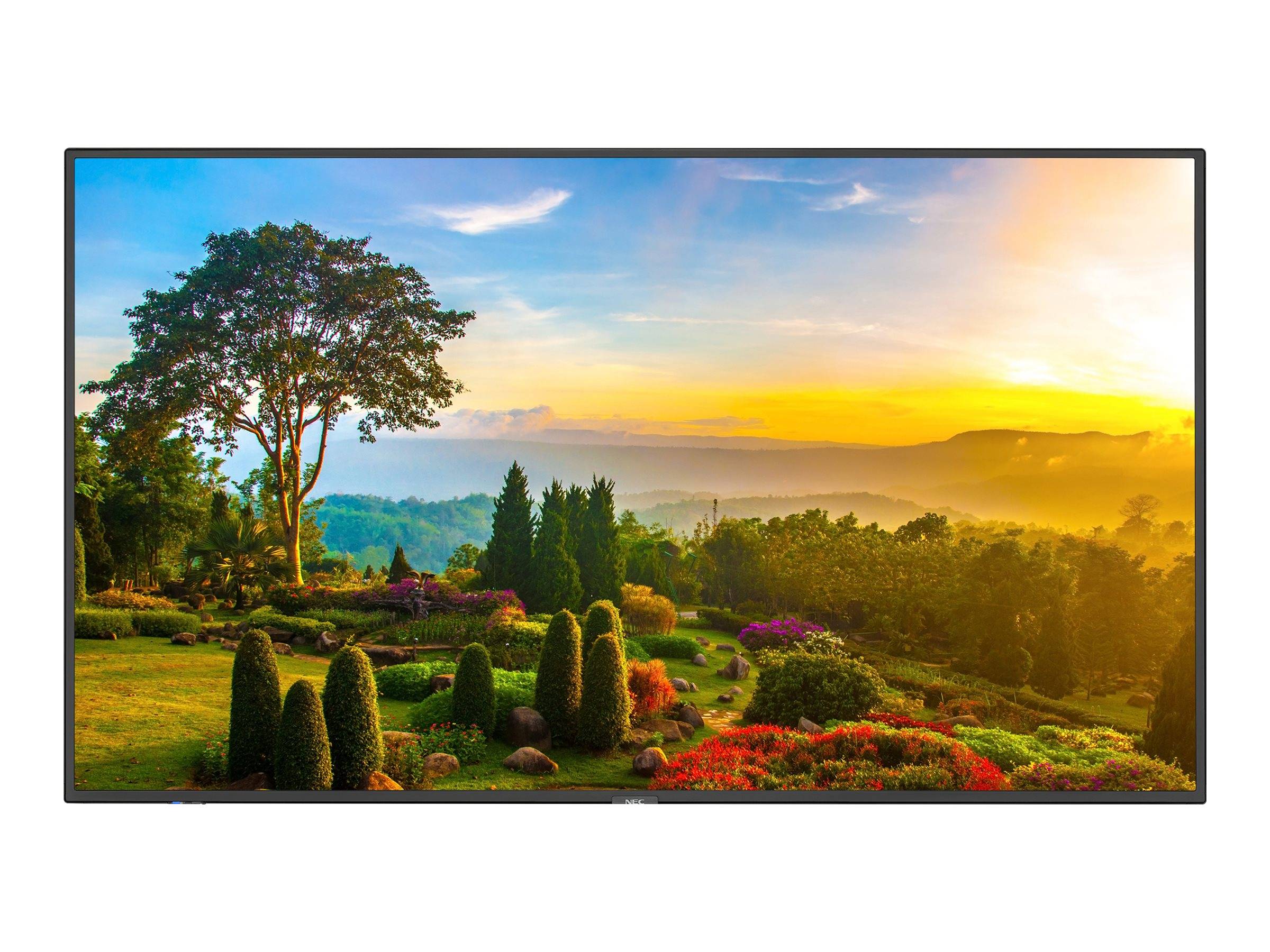 NEC MultiSync m551 - 138.8 cm (55) Diagonalklasse M Series LCD-Display mit LED-Hintergrundbeleuchtung - Digital Signage -0