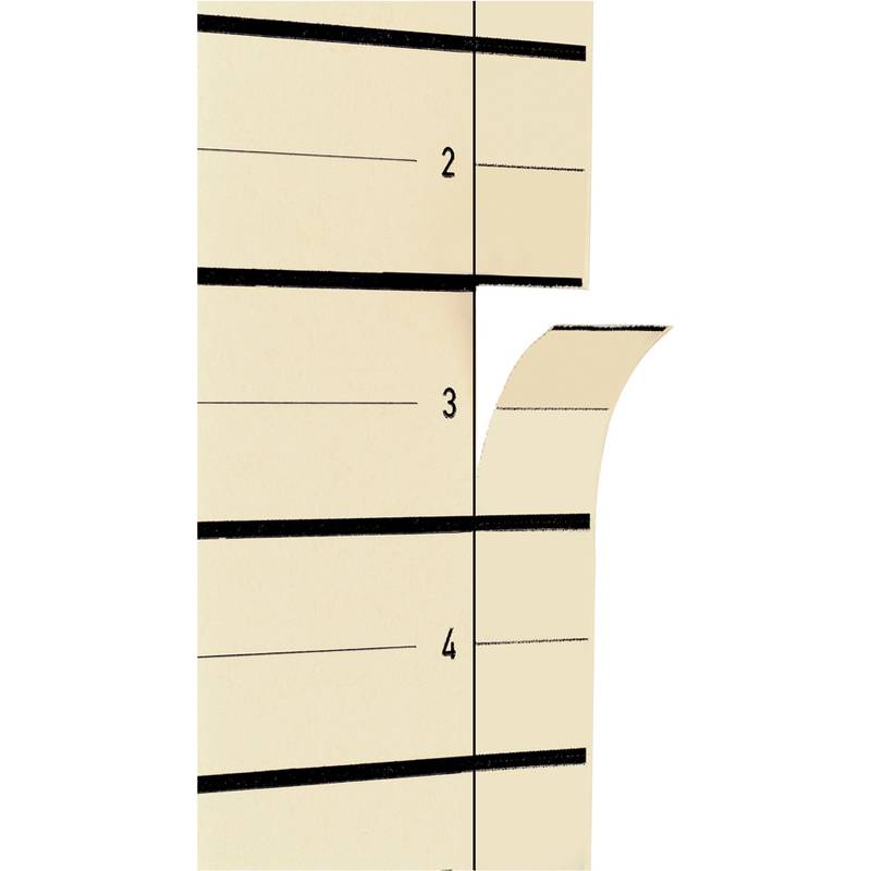 PAGNA Trennblätter, DIN A4, Kraftkarton, beige-0