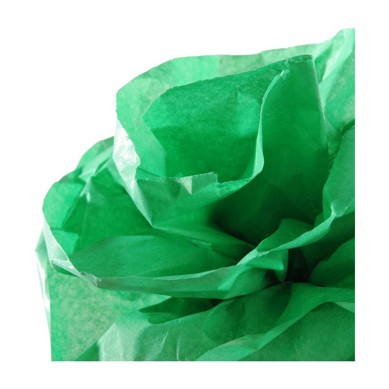 CANSON Seidenpapier-Rolle, 0,5 x 5,0 m, 20 g/qm, moosgrün-0