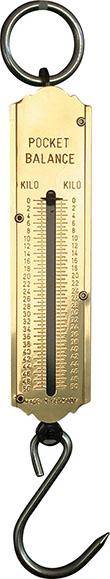 Taschenfederwaage 50kg Kilo/Kilo - Artikel: 4030884805169-0