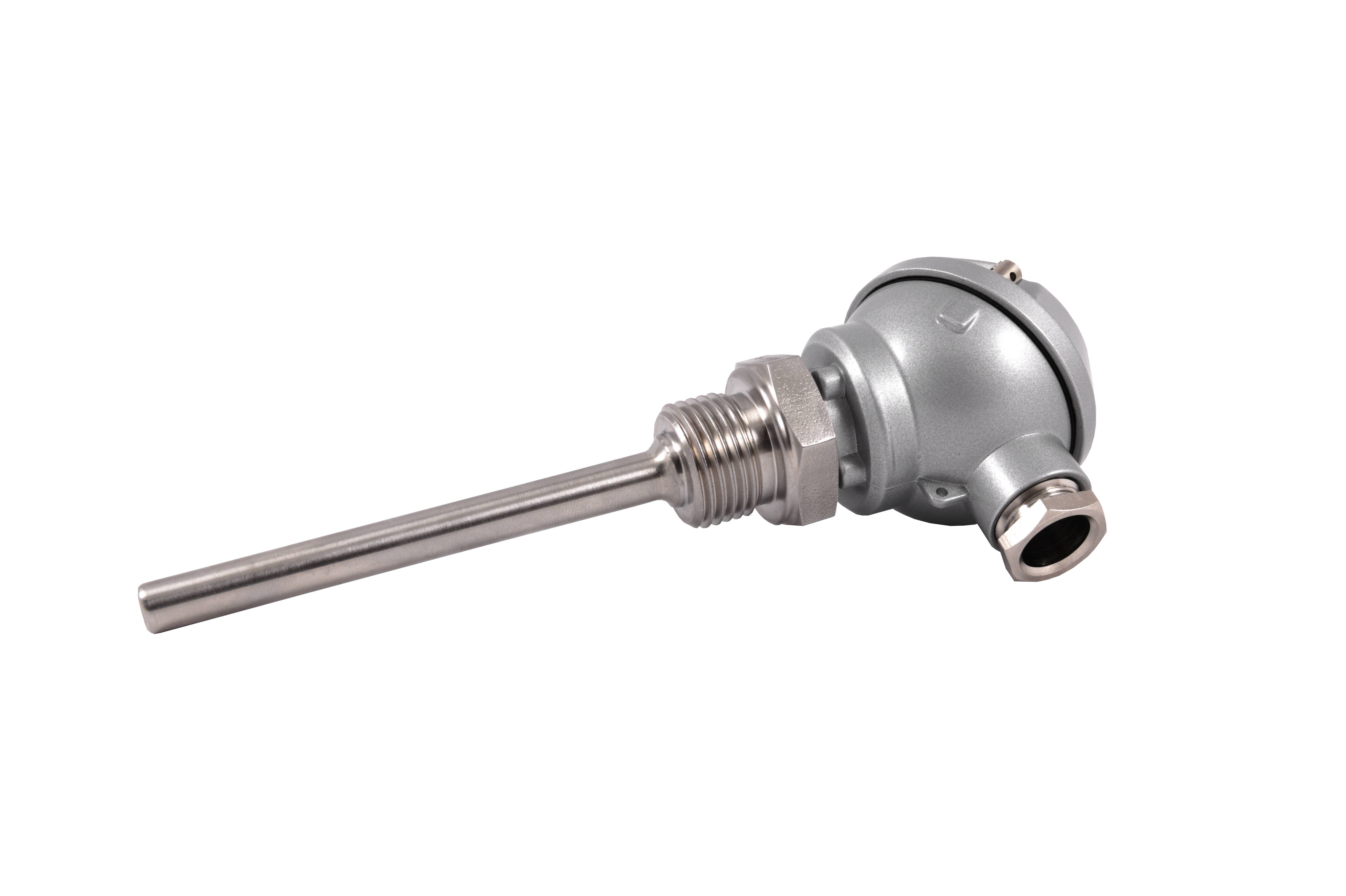promesstec Pt100 Temperaturfühler / Schutzarmatur 6x100mm /Anschlusskopf Form J / G 1/2"-3