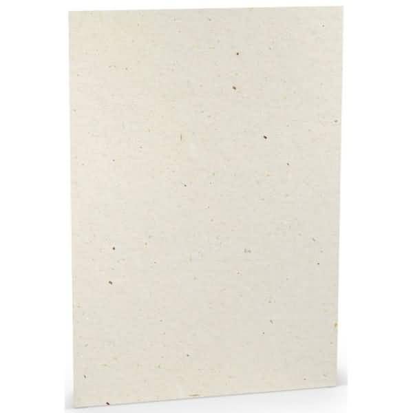Briefpapier A4 100g/qm VE=10 Blatt Terra Vanilla-0