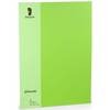 Briefpapier Coloretti A4 80g/qm VE=10 Blatt hellgrün