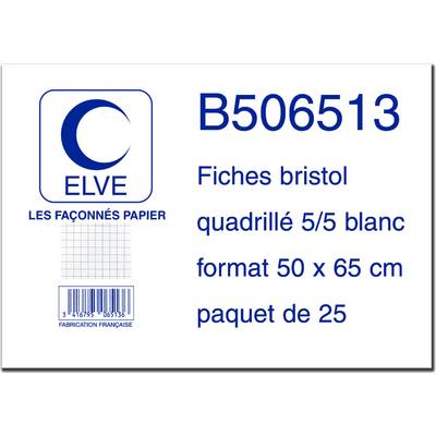 ELVE Karteikarten, 500 x 650 mm, kariert, weiB