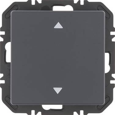 Berker Modul Wippe 1f 24116286
