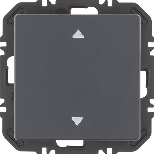 Berker Modul Wippe 1f 24116286-0