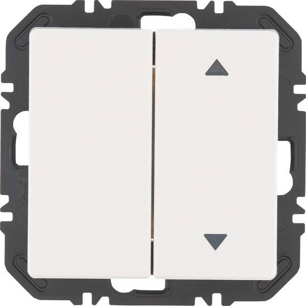 Berker Modul Wippe 2f 24126389-0