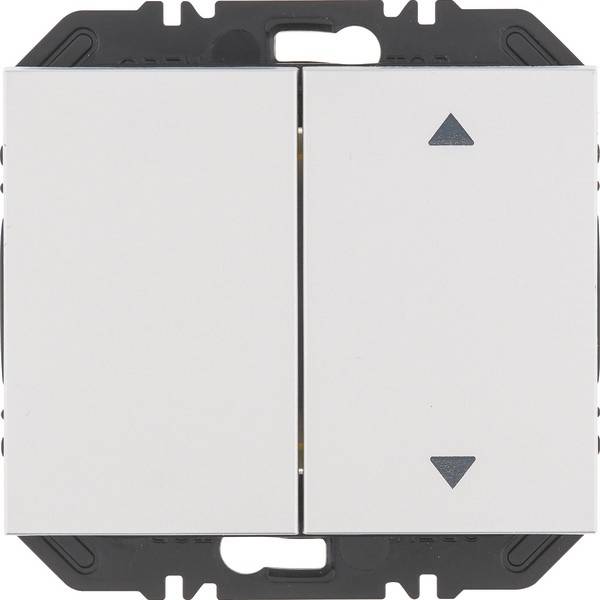 Berker Modul Wippe 2f 24127303