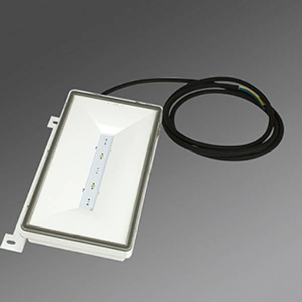 Regiolux Notlicht Akku WOH-B3 ws