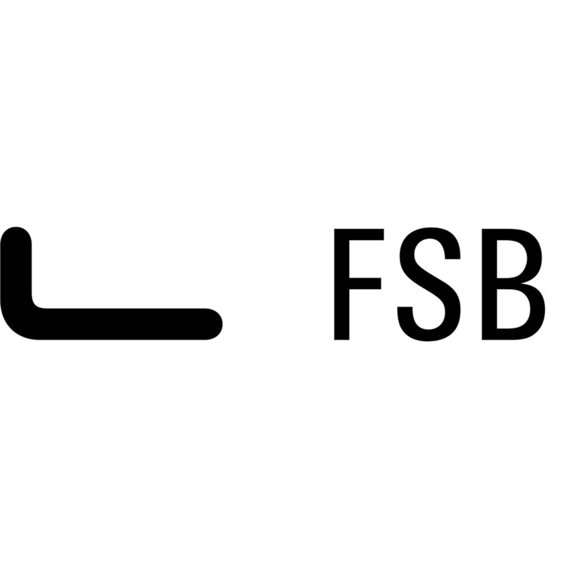 FSB Wechselstift 05 0177, M12, 8x85mm,TS 36-45 verzinkt-1