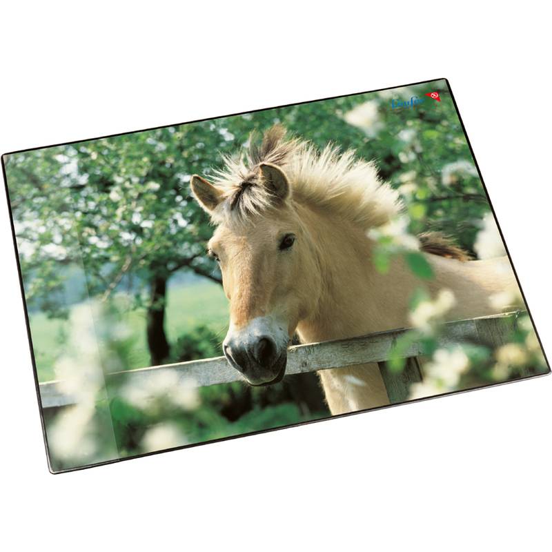 Schreibunterlage Motiv-Poster 40x53 cm Pferd am Weidezaun-0