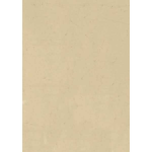 Elefantenhaut A4 110 g/qm chamois
