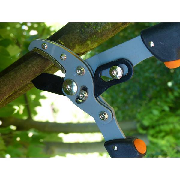 Garten PRIMUS Damen-Astschere, Länge: 470 mm