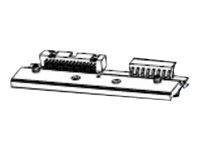 Zebra - Druckkopf (203 dpi)-0