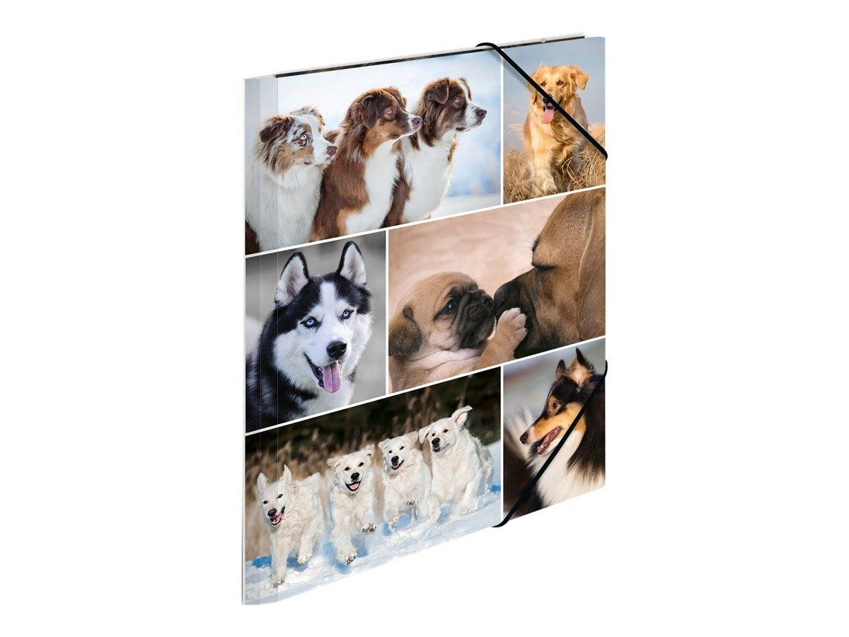 HERMA - Aktenmappe mit 3 Klappen - für A4 - Hunde-0