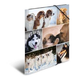 HERMA - Aktenmappe mit 3 Klappen - für A4 - Hunde-5