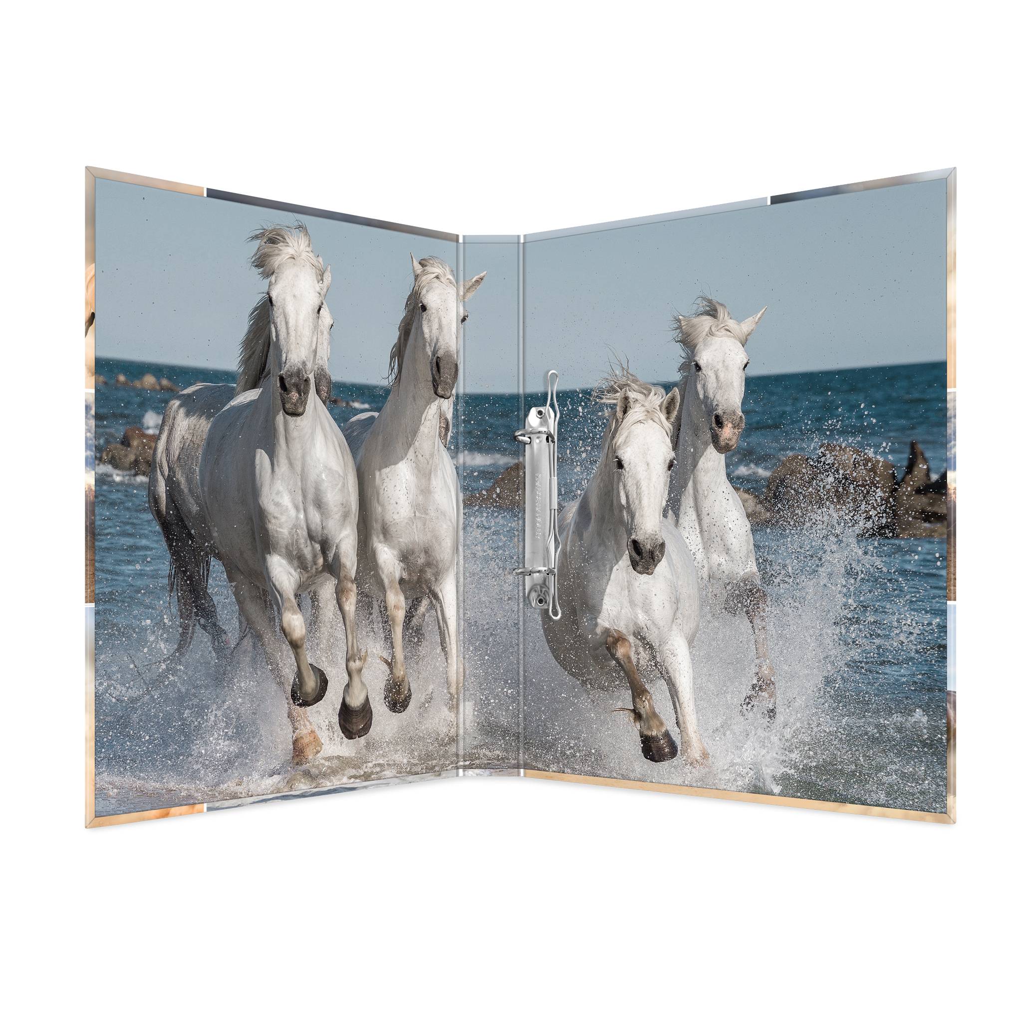 HERMA 19429, A4, Karton, Mehrfarbig, 3,5 cm, 260 mm, 315 mm-5