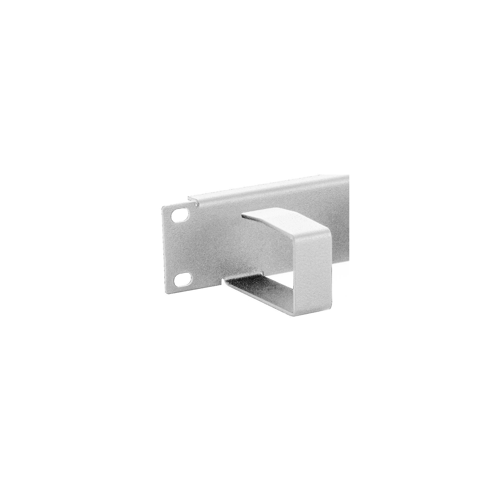 Triton RAC-VP-X21-A1 - Kabelführungsplatte für Schaltschrank - 1U - 48.3 cm (19"")-5