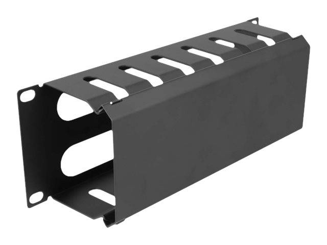 Delock - Verlegetafel für Rack-Kabelmanagement - mit 2 Öffnungen - Schwarz - 1U - 25.4 cm (10")-1