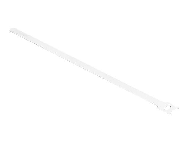 Delock - Kabelbinder - 30 cm - weiß (Packung-0