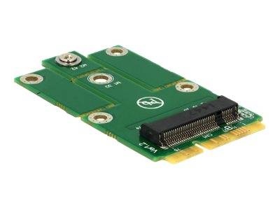 Delock Adapter MiniPCIe > M.2 NGFF - Speicher-Controller-0