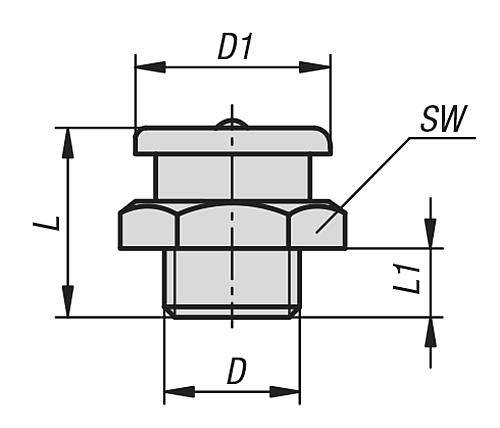 FLACHSCHMIERNIPPEL GERADE DIN3404 D=M10X1, D1=16, SECHSKANT SW=17, EDELSTAHL BLANK-1