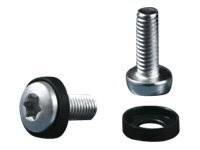 Rittal DK Multi-tooth screw M5x16 - Schrauben und Unterlegscheiben für Rack (Packung mit 50)-0