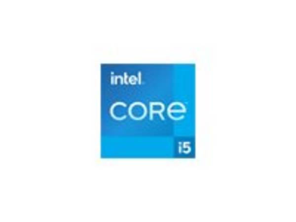 Intel Core i5 12600 - 3.3 GHz - 6 Kerne - 12 Threads