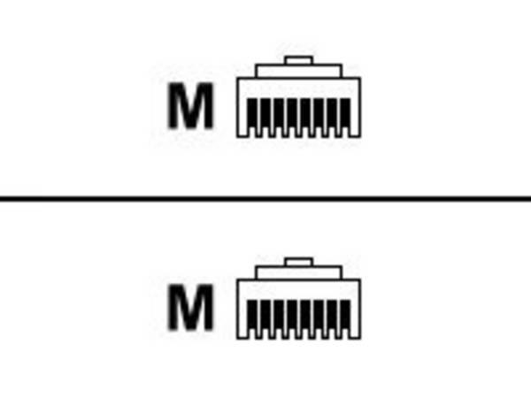Cisco - Netzwerkkabel - RJ-45 (M) zu RJ-45 (M)