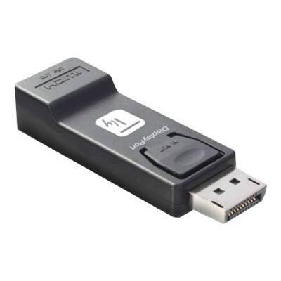 TECHly - Videoadapter - DisplayPort männlich eingerastet zu HDMI weiblich-0
