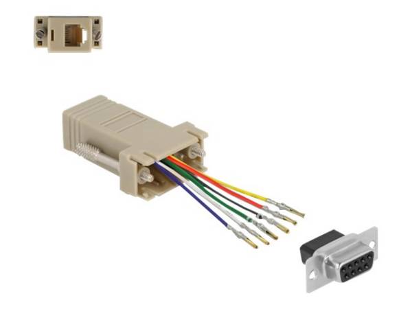 Delock Assembly Kit - Serieller Adapter - DB-9 (W) - schraubbar zu RJ-12 (6-poli